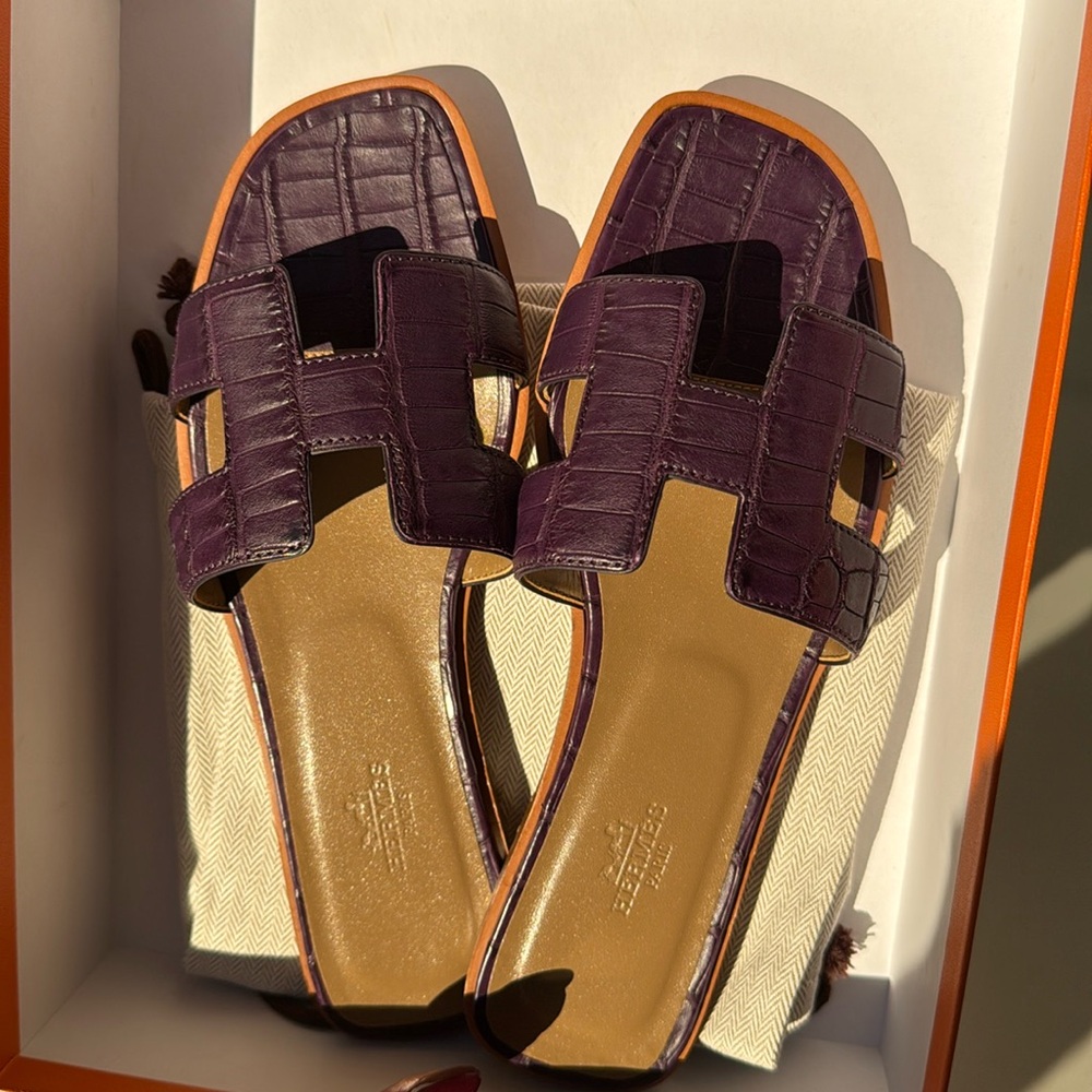NEW IN BOX! Authentic Rare Hermes Matte Croc Oran